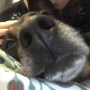 Meet your Posher, Katherine